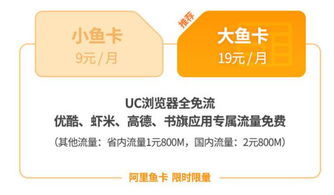 阿里鱼卡业务是?
