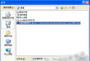 djvu文件怎么打开手机,djvu文件怎么打开安卓