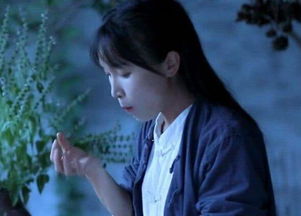 李子柒的视频是怎么拍的？