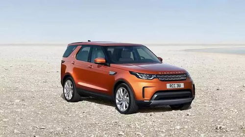 新发现餐饮连锁,新发现 杂志