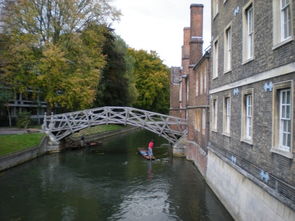 views on language,views vary from person to person