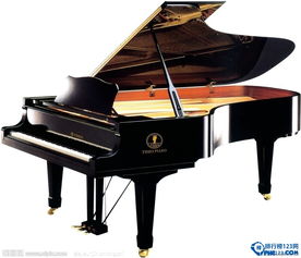 钢琴品牌排行榜前十名,钢琴品牌排行榜及价位