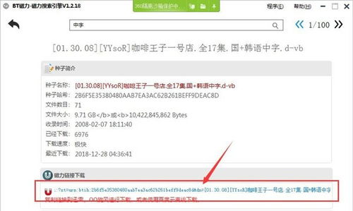 请问大佬有磁力狗BT搜索 V1.0 免费版软件免费百度
