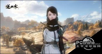 《逆水寒ol》段奥娟捏脸数据