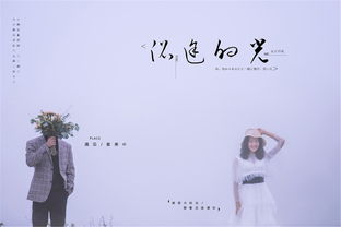 像极了爱情是什么梗