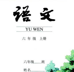 石家庄数英仪器有限公司怎么样？