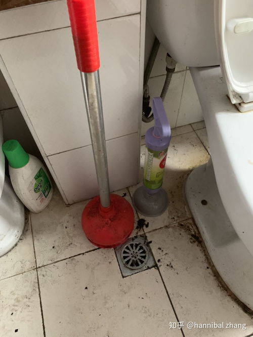 蹲便器堵了怎么办小窍门