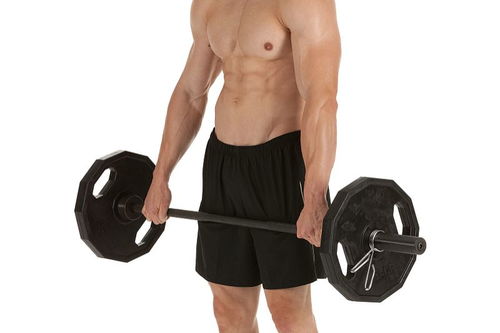 腹肌板锻炼方法图解,腹肌板的正确用法视频