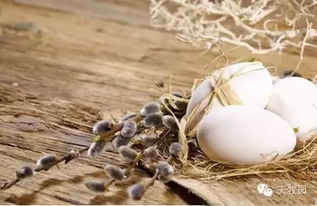 臭鸡蛋的腌制方法