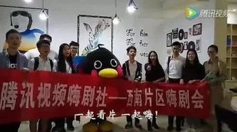 有没有人知道易观千帆是什么？