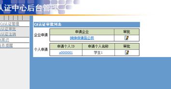 ca认证怎么网上办理,ca认证去哪里办理