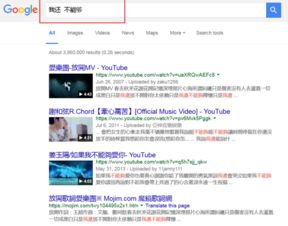 google的使用技巧