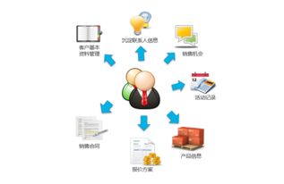 公司在业务发展上需要做些什么？