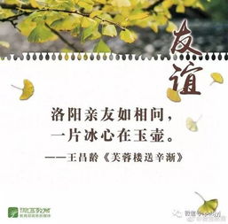 关于友情的诗句有哪些