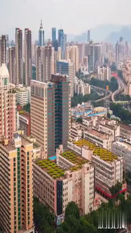 深圳之窗官网,深圳之窗公众号