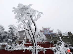 看雪论坛怎么样
