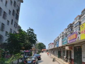 凤巢是什么意思？