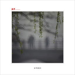 春梦了无痕什么意思