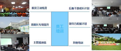 职级是什么意思,职级m1 m2 m3是什么意思