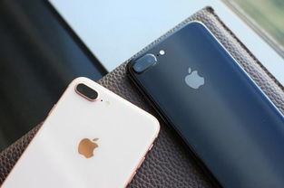 苹果13手机可以双卡双待吗，苹果手机怎么设置双卡双待
