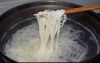 面条菜什么季节种植