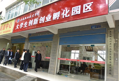 创业孵化园是做什么的？