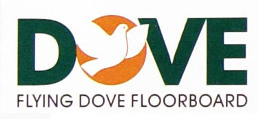 logo的设计说明怎么写啊？