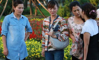 推荐几部农村片电视剧