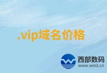 大家觉得.vip域名怎么样