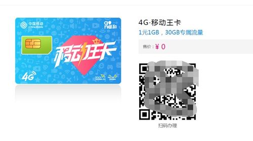 移动大王卡有哪些免流量