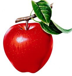 苹果为什么是红色的?