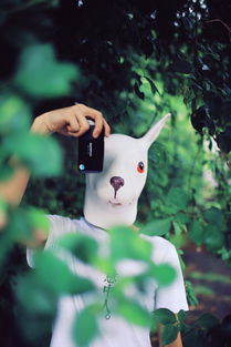 谁知道兔子先生是嘛意思？有人叫我兔子先生…