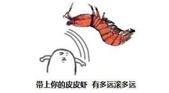 皮皮虾是个什么梗