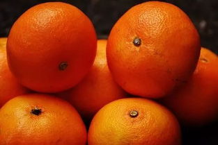 你在这里等我,我去买几个橘子是什么梗？