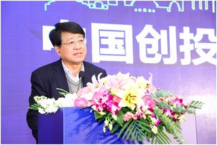 中国创业投资协会成立,中国创业基金会