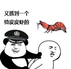 皮皮虾我们走