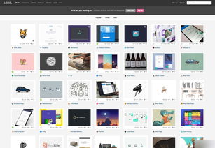《网页设计》实验报告