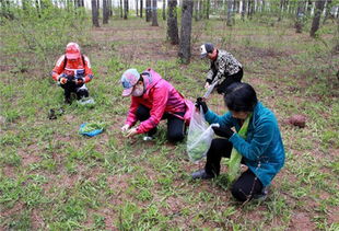 在农村有什么商机吗？