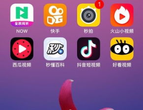 电脑有抖音版吗?