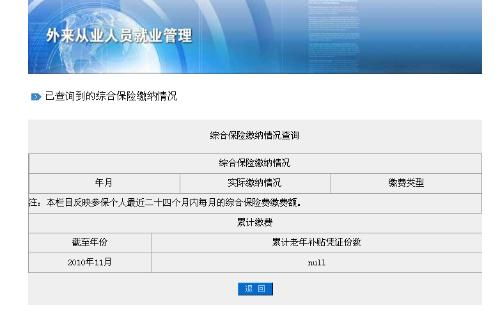 上海综合保险缴费查询官网