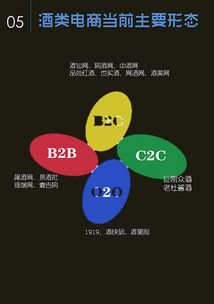 什么叫垂直电商