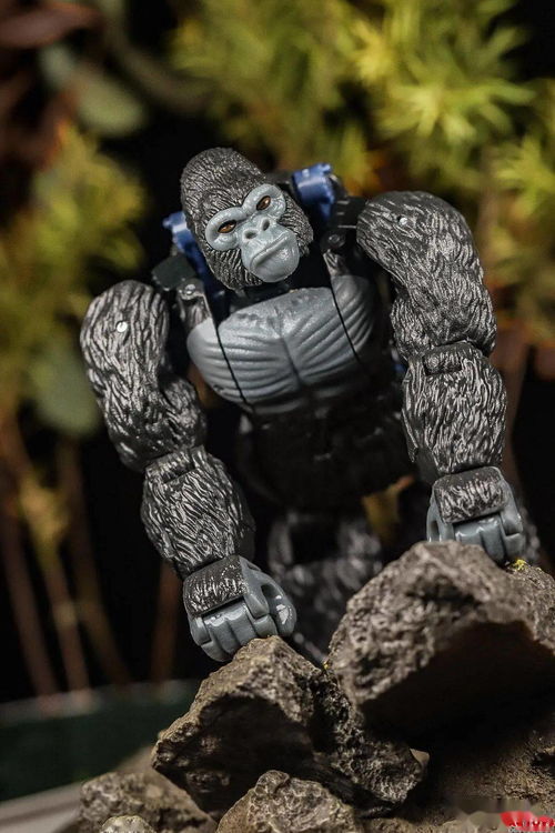 猩猩队长玩具,猩猩队长动画片叫什么名字