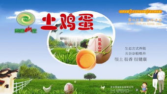 现在养什么最赚钱 农村,家乡养殖什么稳赚钱