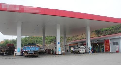 想自己开办一个加油站，大约需要多少资本？