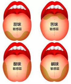 舌头后面靠近咽喉部位有小疙瘩