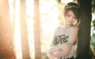 日光微暖爱倾城的内容简介