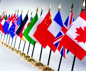 旗帜网怎么注册？