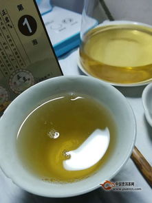 为什么新茶网上的音乐听不了？