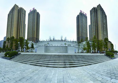 涪陵新闻网泰乐迪杀人