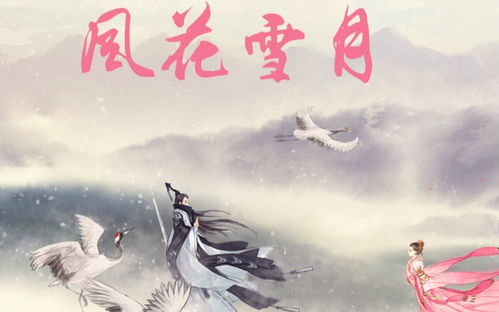 风花雪月是什么意思啊？